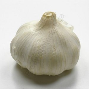 An image of a head of garlic. Click here to see description and add to cart