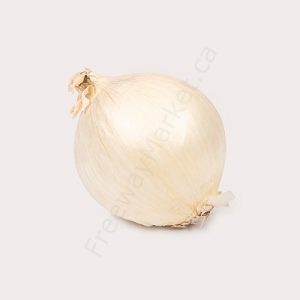 An image of a white onion. Click here to see description and add to cart